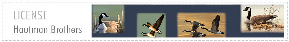 Flying Geese