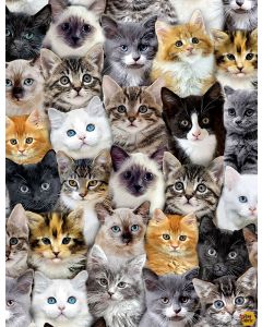 Cat: Quirky Cats: Packed Mixed Breeds of Cats - Timeless Treasures Fabrics cat-c8417 multi