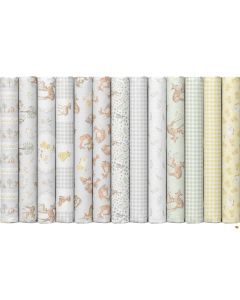 Our Little Adventure: Fat Quarter Bundle (13 FQ's) - Timeless Treasures Fabric kit-adventure FQ - presale July