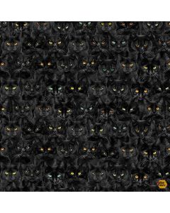 Wicked: Black Cats Magic - Timeless Treasures Fabric cat-cd1831 black 