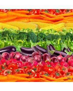Fresh Veggies: Vegetable Stripe -- Timeless Treasures Fabrics food-cd1980 multi