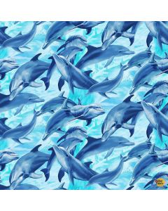 Underwater Paradise: Playful Dolphins Water - Timeless Treasures Fabric michael-cd4288 water - presale June