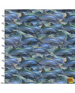 Call of the Sea: Dolphins -- 3 Wishes Fabrics 17992 multi -- 2 yards 21" remaining
