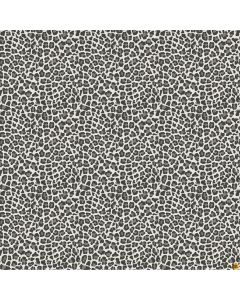 Baby Safari: Leopard Print Gray -- Northcott Fabrics 24676-93