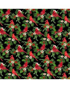 Cardinal Christmas: Cardinals Black -- Northcott Fabrics 25481-99