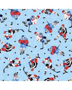 Winter Sports: Ice Hockey -- Northcott Fabrics 27241-44