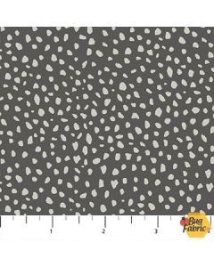 Wild One: Dark Gray Spots - Northcott Fabrics 27694-95