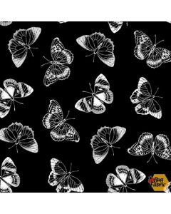 Let's Glow Crazy: Butterflies  (Glow in the Dark) - Blank Quilting 3951g-99 black