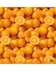 A La Carte: Vitamin C Oranges -- Windham Fabrics 51890d-x
