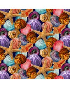 Reef Life: Seashells Navy -- Studio E 5750-77