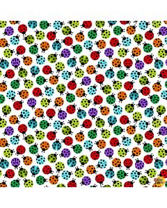 I'm Buggin' Out: Tossed Ladybugs White -- Studio E 5763-1
