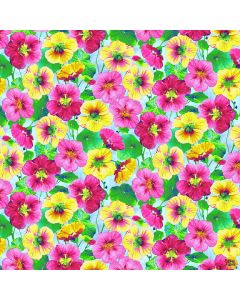 Hummingbird Heaven: Nasturtiums Sky Blue -- Studio E Fabrics 5773-17