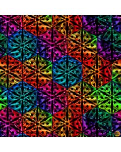 Rainbow Dragon: Spectrum Medallion Black -- Studio E Fabrics 5846-99 
