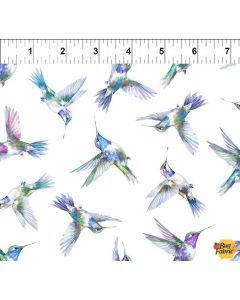 Daydreams: Blue Hummingbirds - In The Beginning Fabrics 5dd-2 