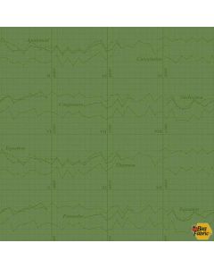 Color Theory: Graph Dark Green -- Andover Fabrics a-9151-g