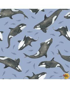 Polar Plungers: Orcas - Studio E Fabrics 7893-17 blue