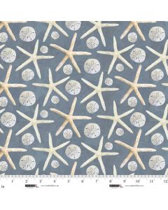 A Drop in the Ocean: Sand Dollars and Stars - Studio E Fabrics 8813-79 slate