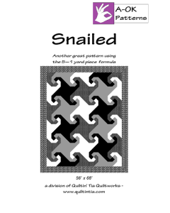 Pattern: Snailed Quilt Pattern -- A-OK Patterns aok-snailed