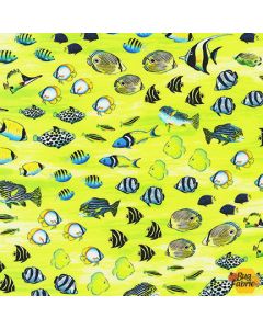 Coral Canyon: Fish Sea Glass-- Robert Kaufman Fabrics AQCD-19912-333 