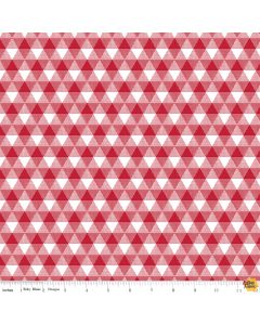 Land of Liberty: Gingham Red -- Riley Blake Designs c10563-red - 2 yards 13" remaining