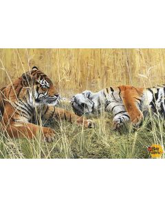 Naturescapes: Fields of Gold Tiger Digital Panel (29 inch panel) - Northcott dp21376-10