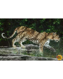 Naturescapes: Kotiya Leopard Digital Panel (29 inch panel) - Northcott dp21377-10