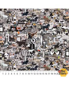 Color Collage: Black Multi -- Northcott Fabrics dp25231-99