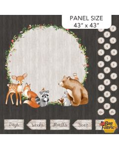 Woodland Adventures: Woodland Animals Baby Milestone Panel 43" panel) -- Northcott Fabrics dp25262-96 