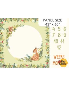 Woodland Babes: Milestone Panel (43" x 60") - Northcott Fabrics dp27165-72