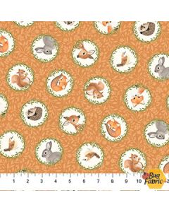 Woodland Babes: Tossed Circles Rust - Northcott Fabrics dp27170-32