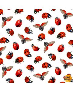 Sunflowers: Ladybugs White - Elizabeth's Studio 488white