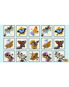 Butterflies and Moths: Panel Sky Blue (2/3 yard) -- Elizabeth's Studio 9800 Sky Blue - 1 and 2/3 panel + 2/3 panel remaining