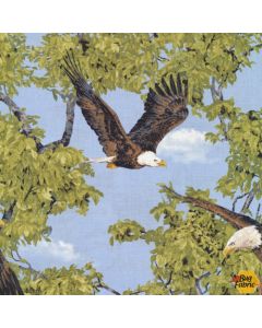 Born Free: Eagle - Fabri-Quilt 112-31991- 2 yards 32" remaining