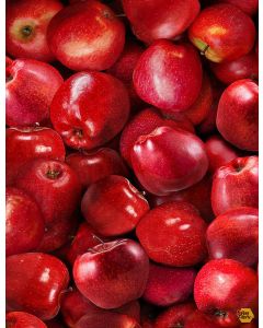 Fruit Bowl: Packed Apples Red -- Timeless Treasures Fabrics Fruit-cd1370 red