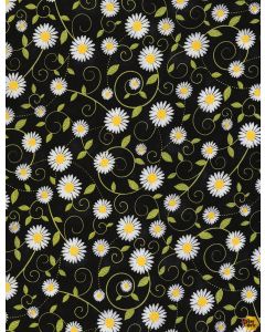 Beeloved / You are my Sunshine: Daisy Vines Black -- Timeless Treasures gail-c5498 black