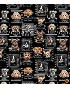 Dogs Rule: Dog Mugshots -- Timeless Treasures Fabric gail-cd3888 black 