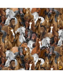 Wild Horses: Packed Horses - Timeless Treasures Fabrics horse-cd3484 multi