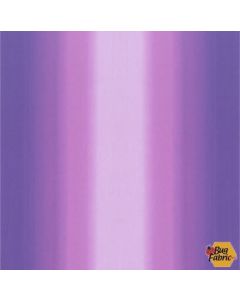 Shades: Dark Purple Ombre - Clothworks k2666-28