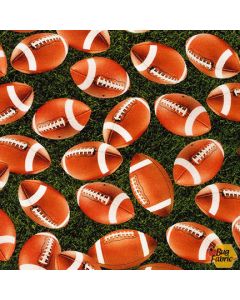 Sports Life: Footballs Grass -- Robert Kaufman srkd-19141-47 grass