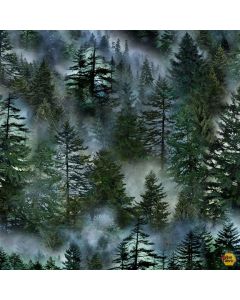 Nature: Misty Mountain Evergreen Forest  - Timeless Treasures Fabric nature cd3528 forest
