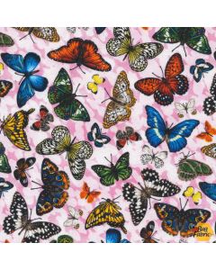 Frolicking Fields: Butterflies Pink - Paintbrush Studio 15211 - 2.5 yards + FQ  remaining