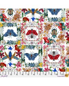 Nocturnal Creatures: Moths & Beetles White - FreeSpirit Fabrics pwmm008.white