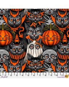 Costumes & Cobwebs: Costume Party Black - FreeSpirit Fabrics pwrh115.black