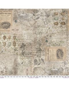 Foundations by Tim Holtz: Eggs & Nest Multi - FreeSpirit Fabrics pwth031.8mult 