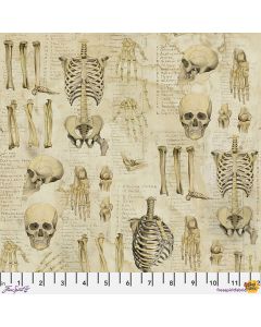 Foundations by Tim Holtz: Anatomy Neutral - FreeSpirit Fabrics pwth181.neutral