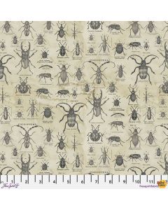 Eclectic Elements Laboratory by Tim Holtz: Specimen Neutral - FreeSpirit Fabrics pwth184.neutral 