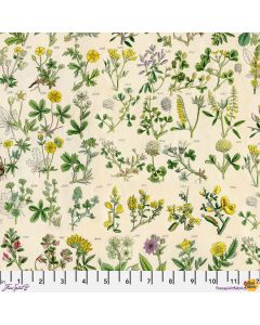 Eclectic Elements Palette by Tim Holtz: Yellow Botanical - FreeSpirit Fabrics pwth245.yellow 