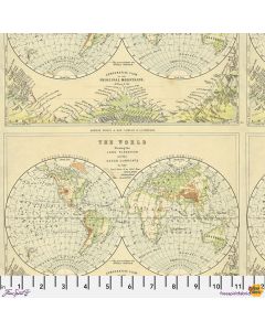 Eclectic Elements Palette by Tim Holtz: Green Map - FreeSpirit Fabrics pwth263.green