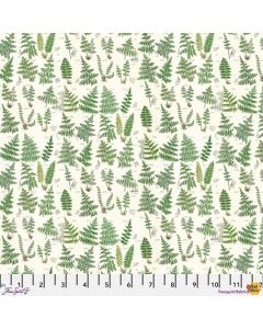 Eclectic Elements Palette by Tim Holtz: Green Ferns - FreeSpirit Fabrics pwth265.green