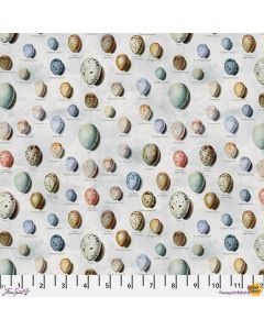 Eclectic Elements Palette by Tim Holtz: Blue Eggs - FreeSpirit Fabrics pwth285.blue